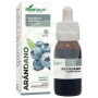 Extracto de Arándano 50Ml. Soria Natural