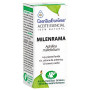 Olio Essenziale di Achillea 5Ml Aromi Essenziali