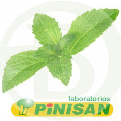 Stevia In Pianta 40Gr. Pinisan