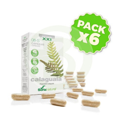 Confezione 6x Calaguala 8S Formula XXI Soria Naturale