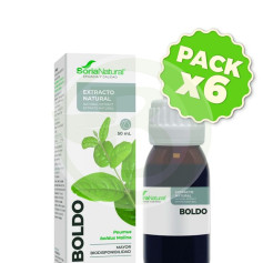 Confezione da 6 Estratto di Boldo XXI da 50 ml. Soria Naturale