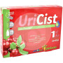Uricist 30 Capsule Pinisan