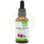 Estratto di Echinacea ECO S/A 50Ml. Plantis