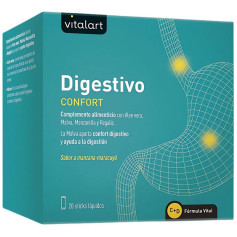 Comfort digestivo 20 stick Vitalart