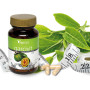 Garcivit 70 Capsule Vital 2000