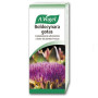 Boldocynara Gocce Vogel 100Ml.