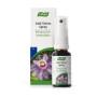 Spray Antistress 10 Ml.