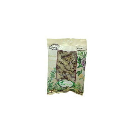 Boldo Busta 40Gr. Soria Natural