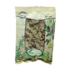 Boldo Busta 40Gr. Soria Natural