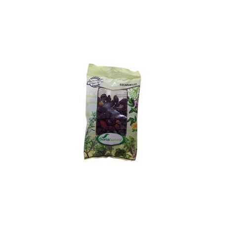Rosa Canina Bustina 100Gr. Soria Natural