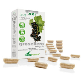 Grosellero Negro 23-S Fórmula XXI Soria Natural