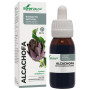 Extracto de Alcachofera Fórmula XXI 50Ml. Soria Natural