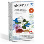 Animplus 42 Capsule Intersa