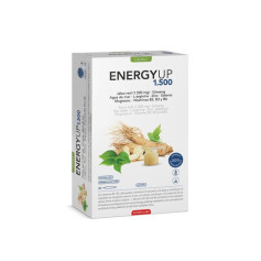 Energy Up 1500 20 Fiale Intersa Labs