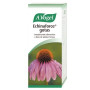 Echinaforce Gocce Vogel 50Ml.