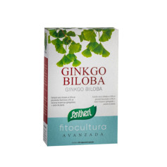 Ginkgo 40 Capsule Santiveri