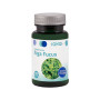 Alga Fucus 100 Compresse 500Mg. Sakai