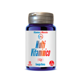 Multivitaminico 60 capsule Ynsadiet