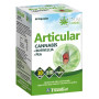 Cannabis congiunta 60 capsule Ynsadiet