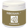 Ribosan 310 Gr Farmacocat