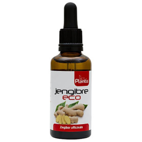Estratto di zenzero biologico 50 ml Plantis