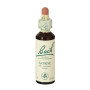Fiori di Bach Gorse (Ginestrone) 20Ml. Bach