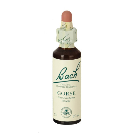 Fiori di Bach Gorse (Ginestrone) 20Ml. Bach
