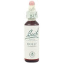 Fiori di Bach Holly (Agrifoglio) 20Ml. Bach