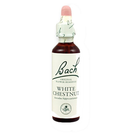 Fiori di Bach White Chestnut (Castagno Bianco) 20Ml. Bach