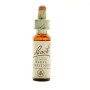 Flores de Bach White Chesnut (Castaño Blanco) 20Ml. Bach