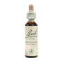 Flores de Bach Impatiens (Impaciencia) 20Ml. Bach