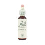 Fiori di Bach Impatiens (Impazienza) 20Ml. Bach