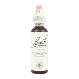 Flores de Bach Clematis (Clemátide) 20Ml. Bach