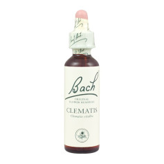 Fiori di Bach Clematis (Clematide) 20Ml. Bach