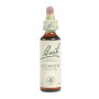 Flores de Bach Clematis (Clemátide) 20Ml. Bach