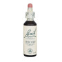 Flores de Bach Chicory (Achicoria) 20Ml. Bach