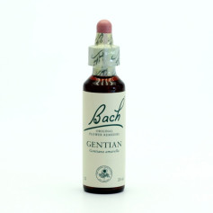 Fiori di Bach Gentian (Genziana) 20Ml. Bach