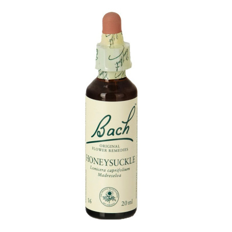 Flores de Bach Honeysuckle (Madreselva) 20Ml. Bach