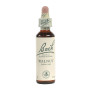 Flores de Bach Walnut (Nogal) 20Ml. Bach