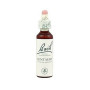 Fiori di Bach Centaury (Centaurea Minore) 20Ml. Bach