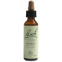 Fiori di Bach Aspen (Pioppo Tremulo) 20Ml. Bach