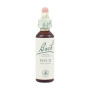 Fiori di Bach Beech (Faggio) 20Ml. Bach