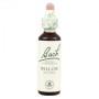 Fiori di Bach Salice (Salice) 20Ml. Bach