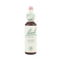 Fiori di Bach Olive (Olivo) 20Ml. Bach