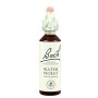 Fiori di Bach Water Violet (Viola Acquatica) 20Ml. Bach
