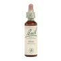 Fiori di Bach Pine (Pino Silvestre) 20Ml. Bach