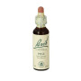 Fiori di Bach Pine (Pino Silvestre) 20Ml. Bach