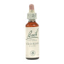 Fiori di Bach Wild Rose (Rosa Canina) 20Ml. Bach