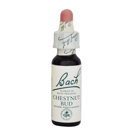 Flores de Bach Chestnut Bud (Castaño) 20Ml. Bach