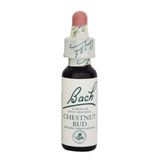 Fiori di Bach Chestnut Bud (Gemma di Castagno) 20Ml. Bach